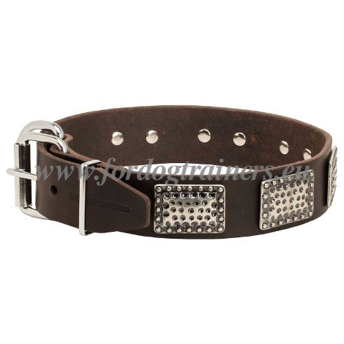 Malinois Leder Hudne Halsband