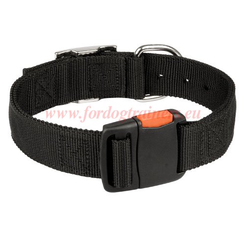 Large
Breed Dog Collar