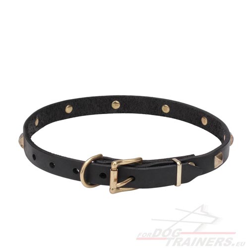 Dog Collar with Solid Hardware and Brass Studs