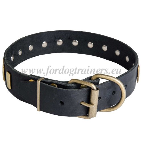 Leather Collar for Bulldog