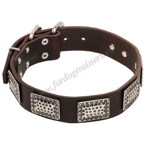 Plated Dog Collar Large