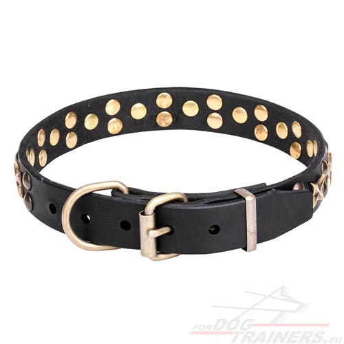 Solid Hardware of Resistant Dog Collar