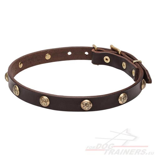 Elegant Narrow Leather Dog Collar