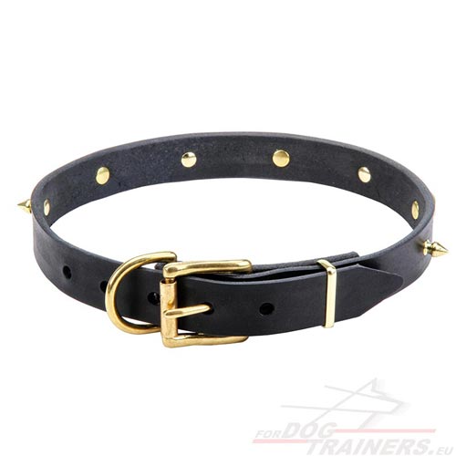 Leather Dog Collar 25 mm
