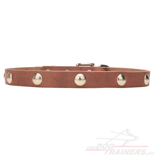 Decorated Leather Dog Collars Collection
