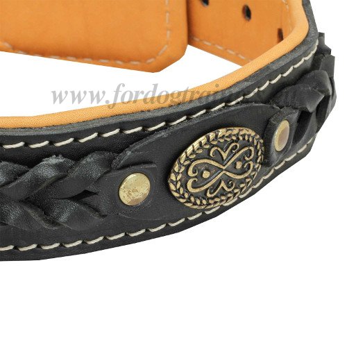 Braided Padded Dog Collar with Nappa