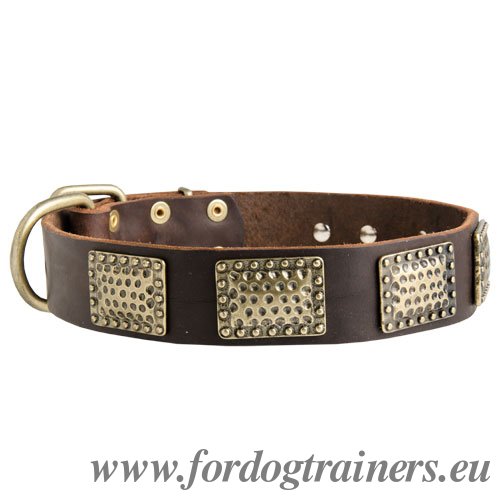 Vintage Plated Dog Collar