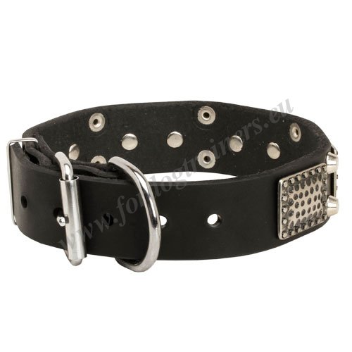 Strong Dog Collar with Hardware