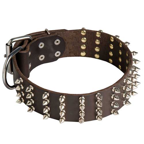 Spiked Halsband fr Hunde extra Breit 50 mm