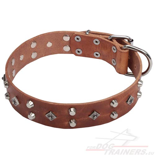 Tan
Leather Collar with Stylish Antique Decoration