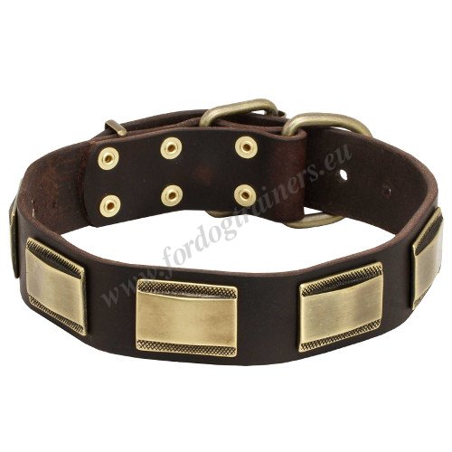 Practicable Leather Dog Collar