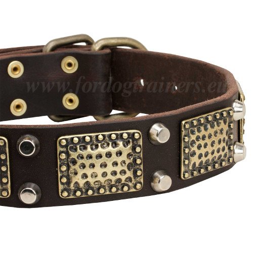 Custom Leather Dog Collar for Malinois