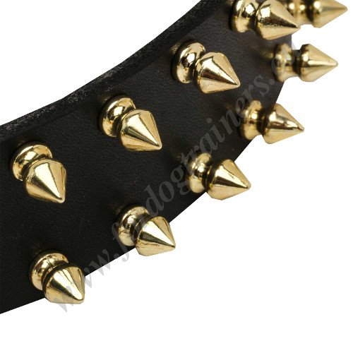 Leather Dog Collar with Spikes