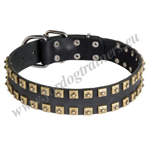 Stylish Leather Collar with Studs