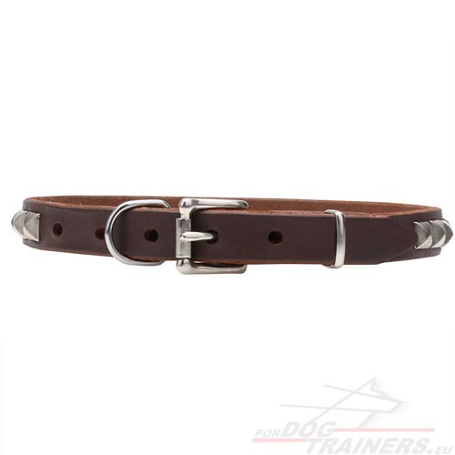 Dog Leather Collar Studded - Chromed Hardware