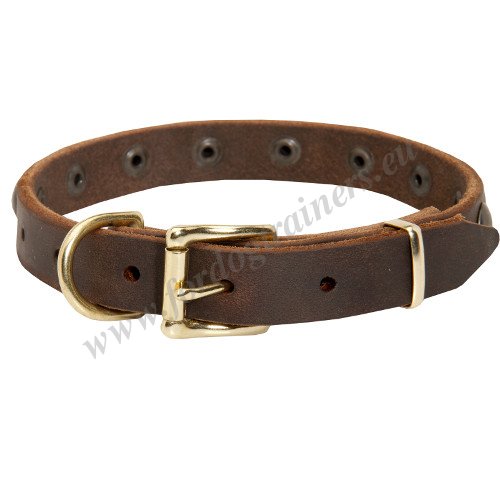 Rustproof Dog Collar Hardware