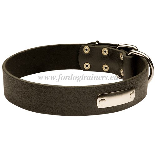 ID
Collar Best Genuine Leather