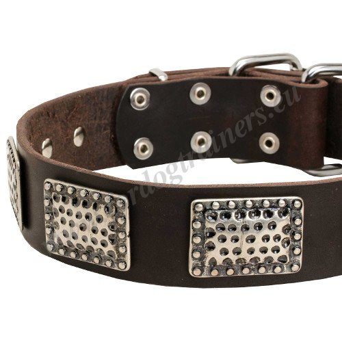 Handcrafted Dog Collar with Nickel Plates