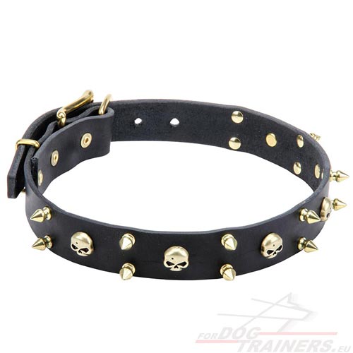 Dog Collar for Walking with Brass Skulls and Spikes