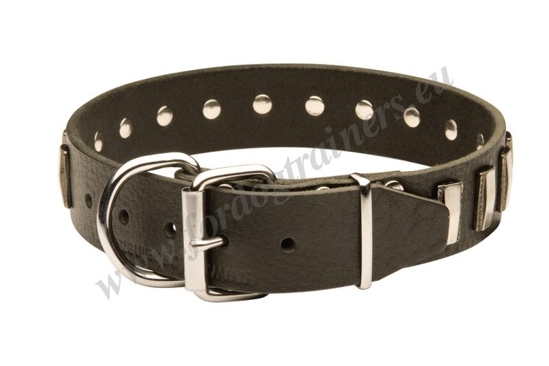 Wide Leather Dog Collar for Collie [C90##1057 Collare con piastre  rettangolari per Collie] : Dog harness, Dog muzzle, Dog collar, dog leash,  Bite Sleeves
