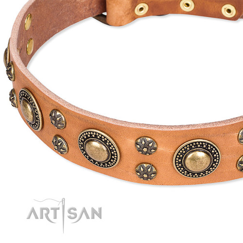 Studded Dog Collar Tan