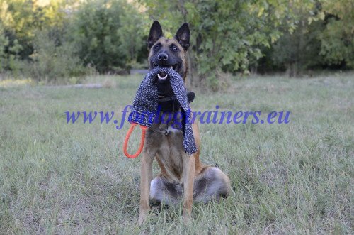 Life-saving Command for Dogs
