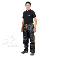 Pantalon de dressage et toilettage chien