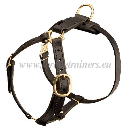 Exclusive Luxury Handcrafted Padded Leather Dog Harness