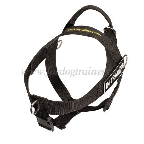 Harness for Dog Training
