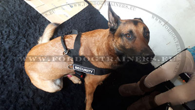 Dog Harness for Large German Shepherd Handmade