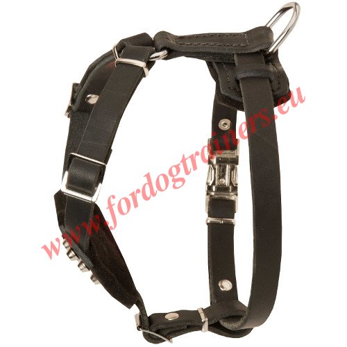 Leather Harness for Dog with Pyramids