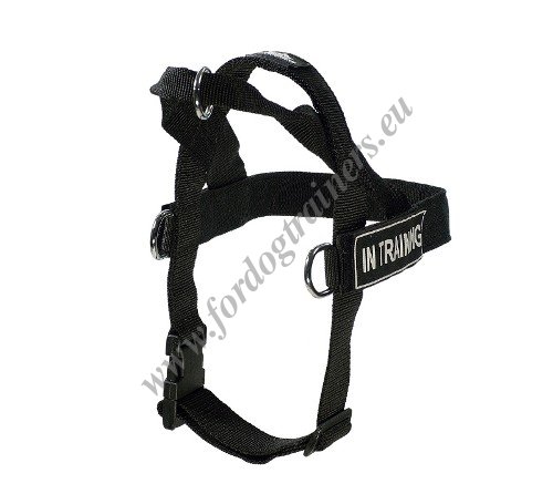 Nylon Dog Harness with Handle Handmade