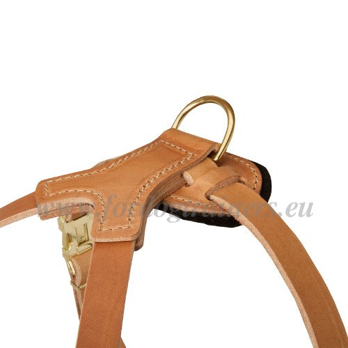 Walking Dog Harness