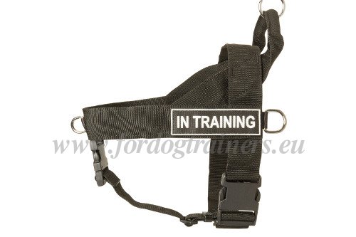 Dog Harness Reviews Original