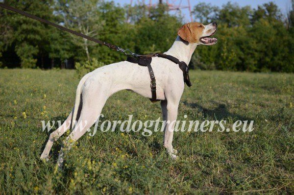 Dog Harness for Police Dogs Felt Padded