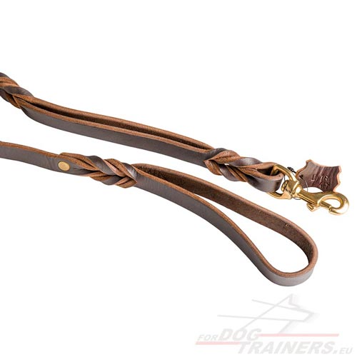 Best Quality Braided Dog Lead