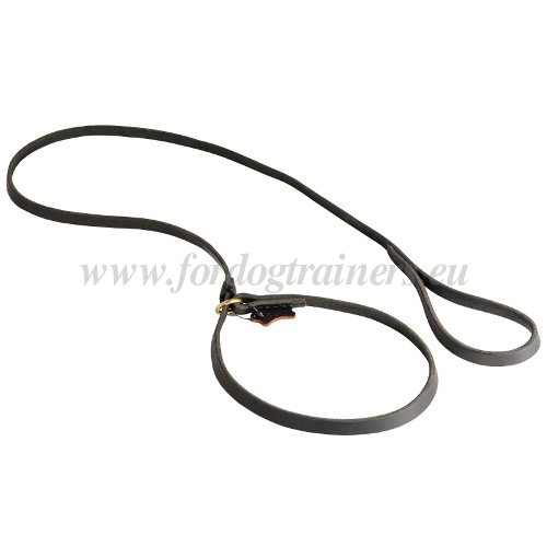 Leather Collar and Leash for Dog