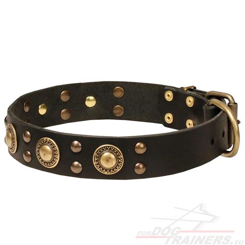 Embossed Rings Leather Collar for Dog