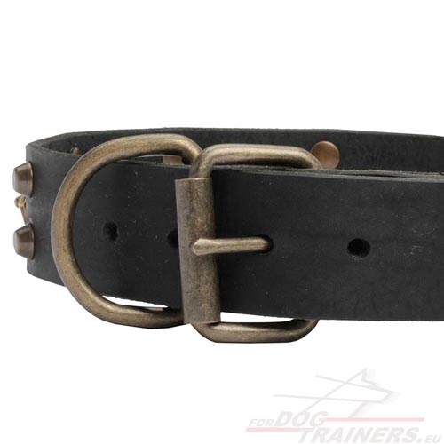 Solid Buckle and Ring of the Dog Collar
Exclusive