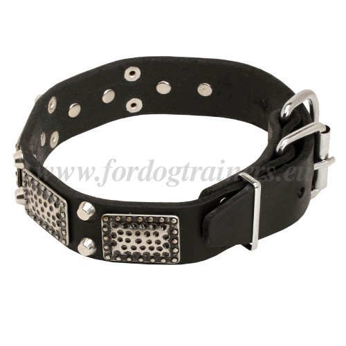Plated Dog Collar Luxe