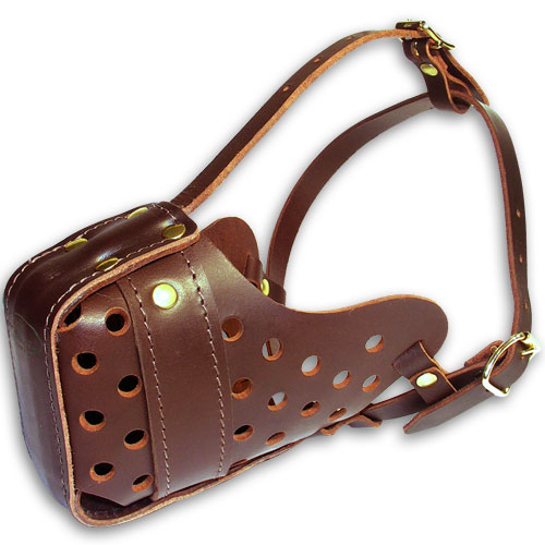 leather Muzzle
