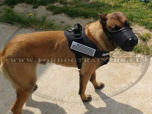 Leather Nylon Muzzle for Belgian Malinois