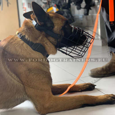 Muzzle for Belgian Malinois for All-season Training