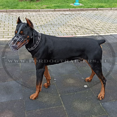 Muzzle for Guard Dogs Training Eat Everything Doberman