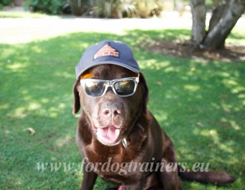 One Size Cap Easy to Wear