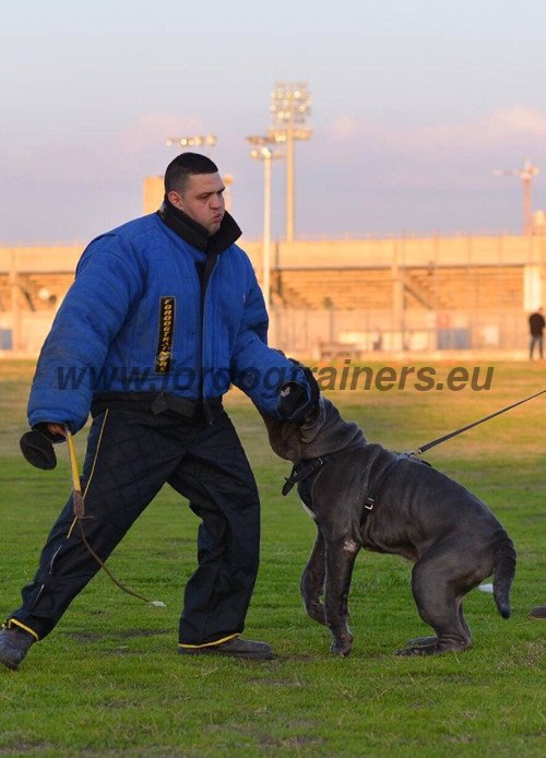 Large Dog Bites Protective Suit