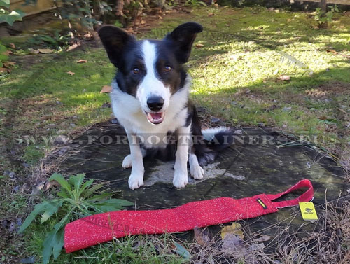 French Linen Rag for Dog