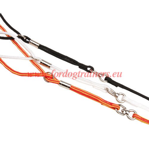 Red Nylon Dog Leash for Shows