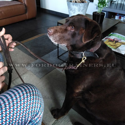 Handmade Braided Leather Dog Leash for Show