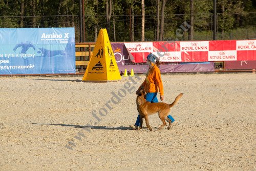 Blind for
Helper During Dog Training